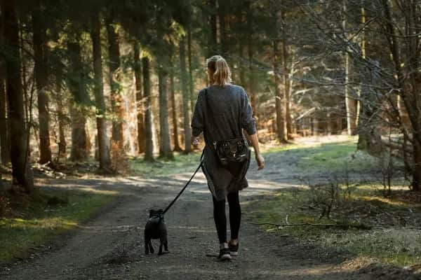 Hundefreundliches Wellness- und Wanderhotel in Oberösterreich
