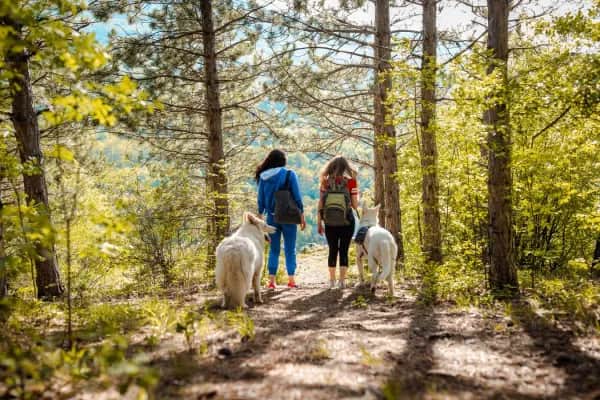 Hundefreundlicher Aktivurlaub in Oberösterreich