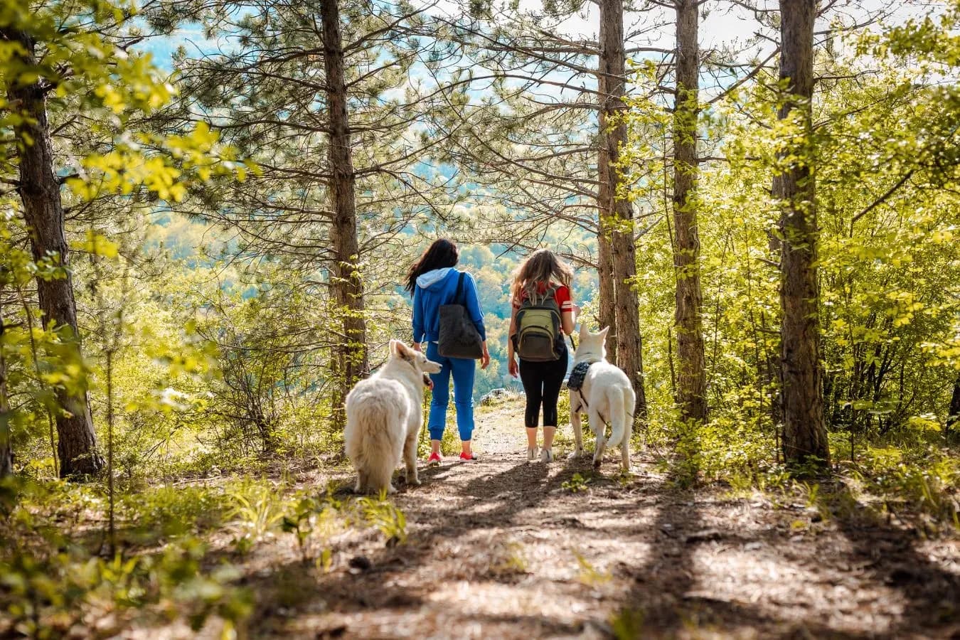 Hundefreundlicher Aktivurlaub in Oberösterreich
