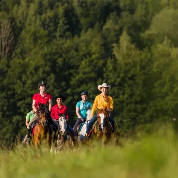Urlaub mit Pferd buchen in Oberösterreich